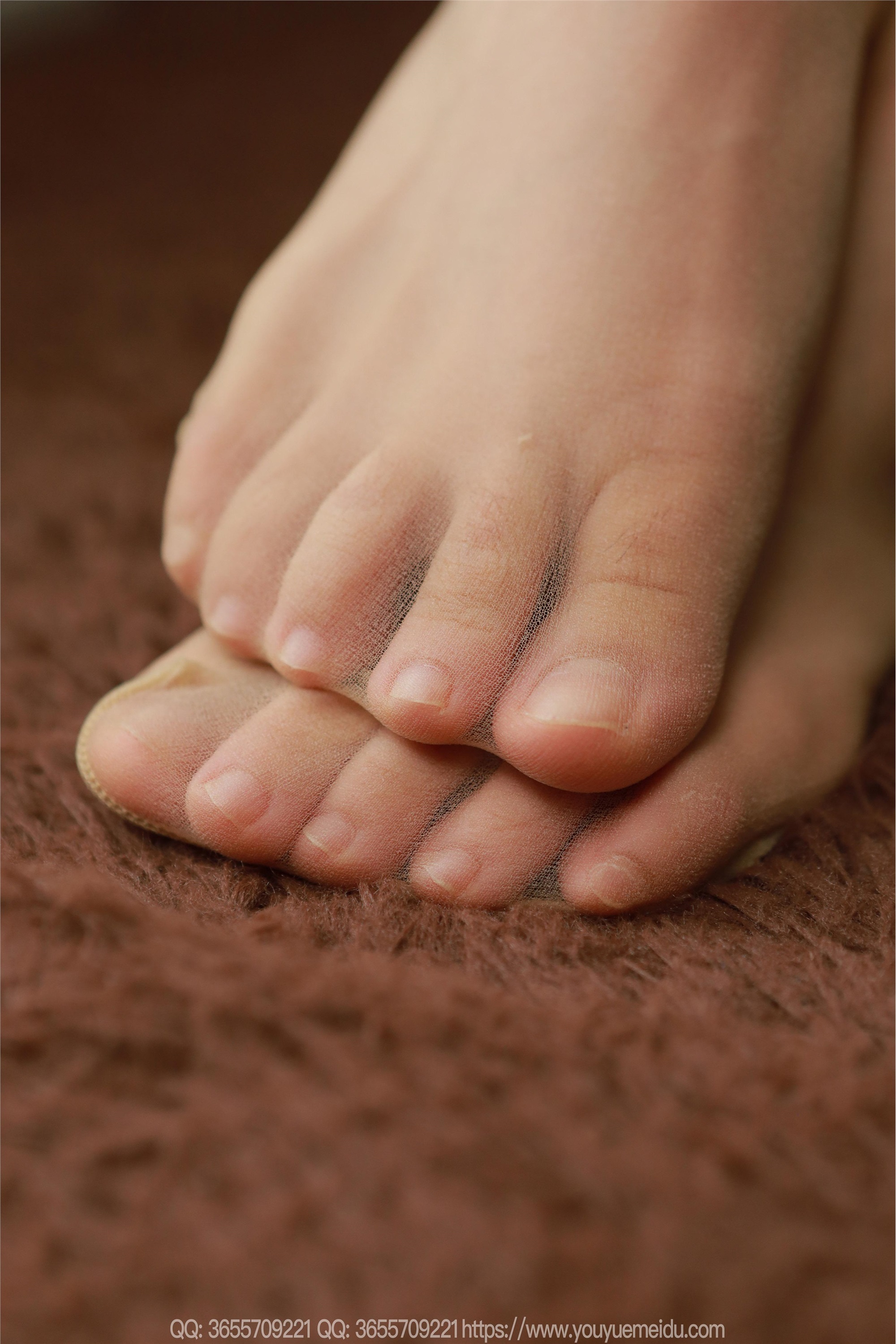 IESS异思趣向  2025.05.13 丝享家 2052 小金《丝丝入扣》